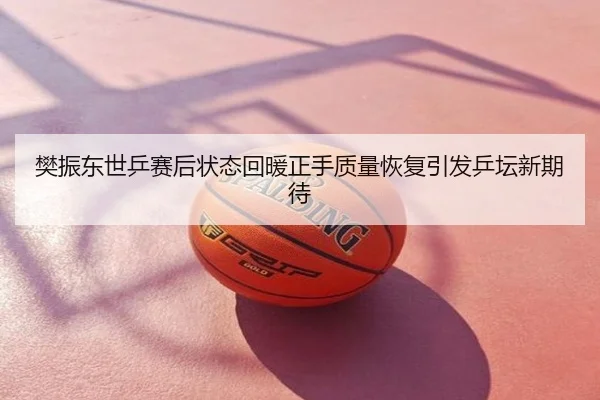 樊振东世乒赛后状态回暖正手质量恢复引发乒坛新期待